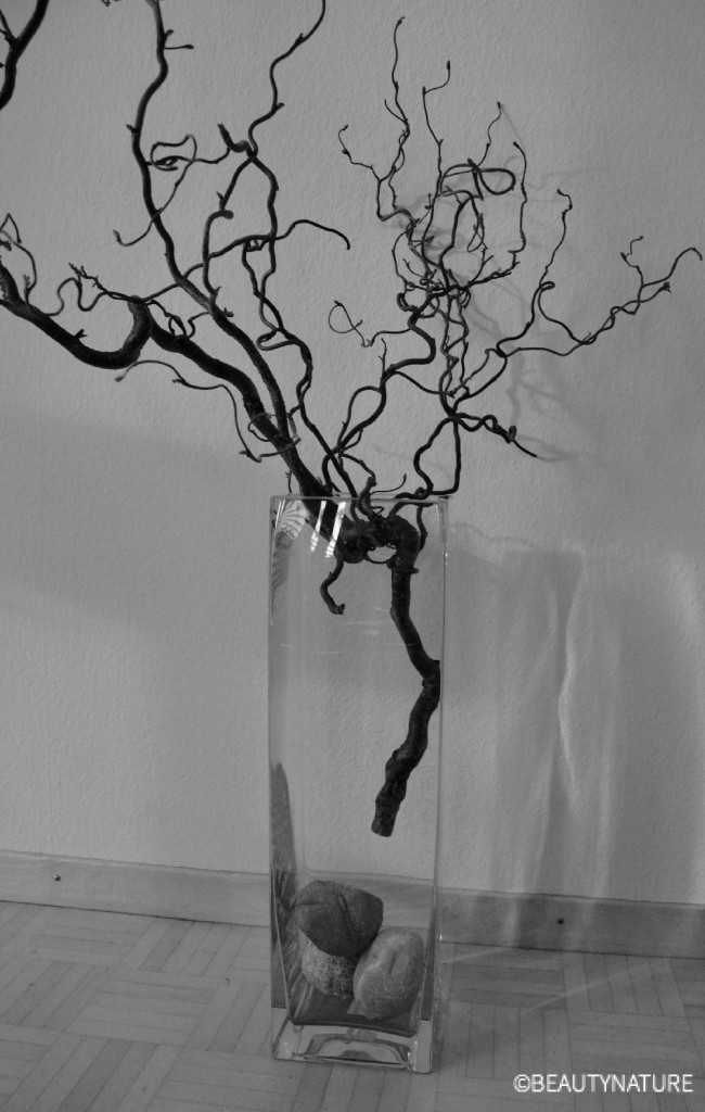Osterbaum in Vase stecken-min