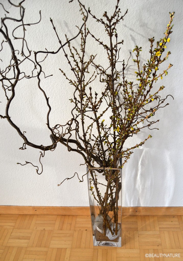 Osterbaum mit &Auml;sten-min