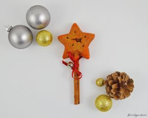 magic of christmas lush