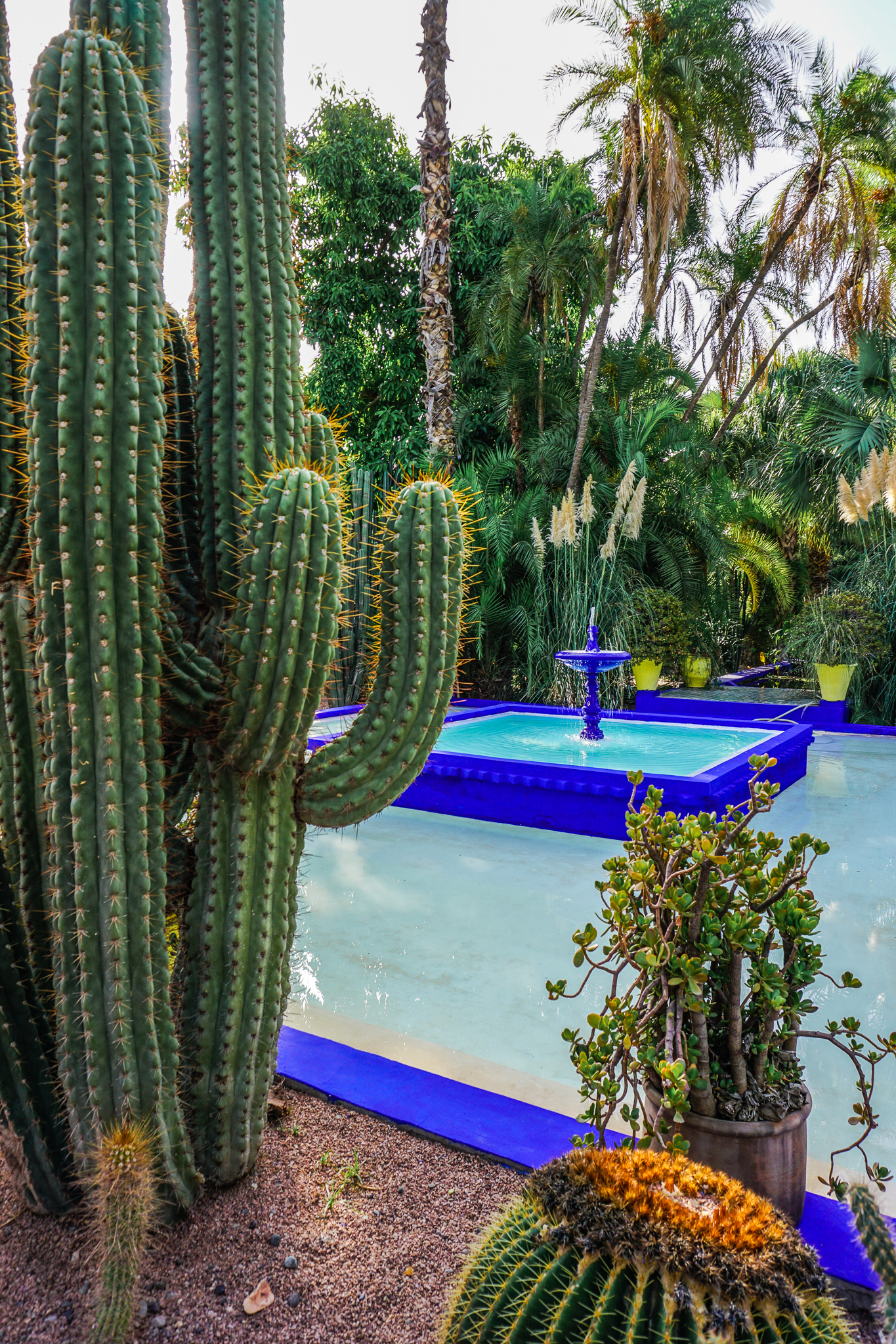 Jardin Majorelle Marrakesch