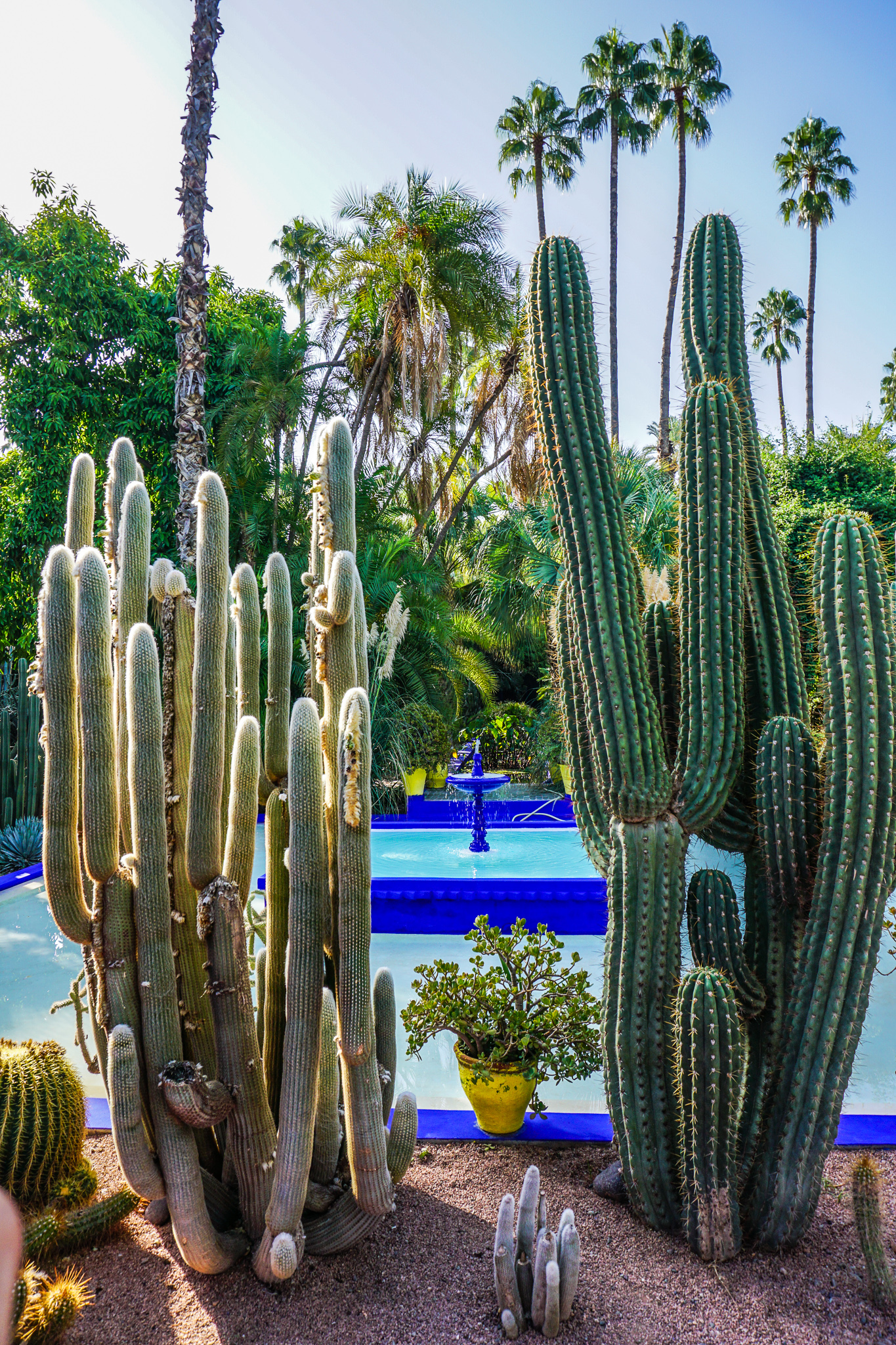 Jardin Majorelle Marrakesch
