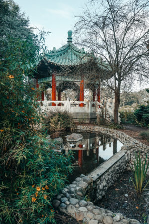 San Francisco City Guide Park