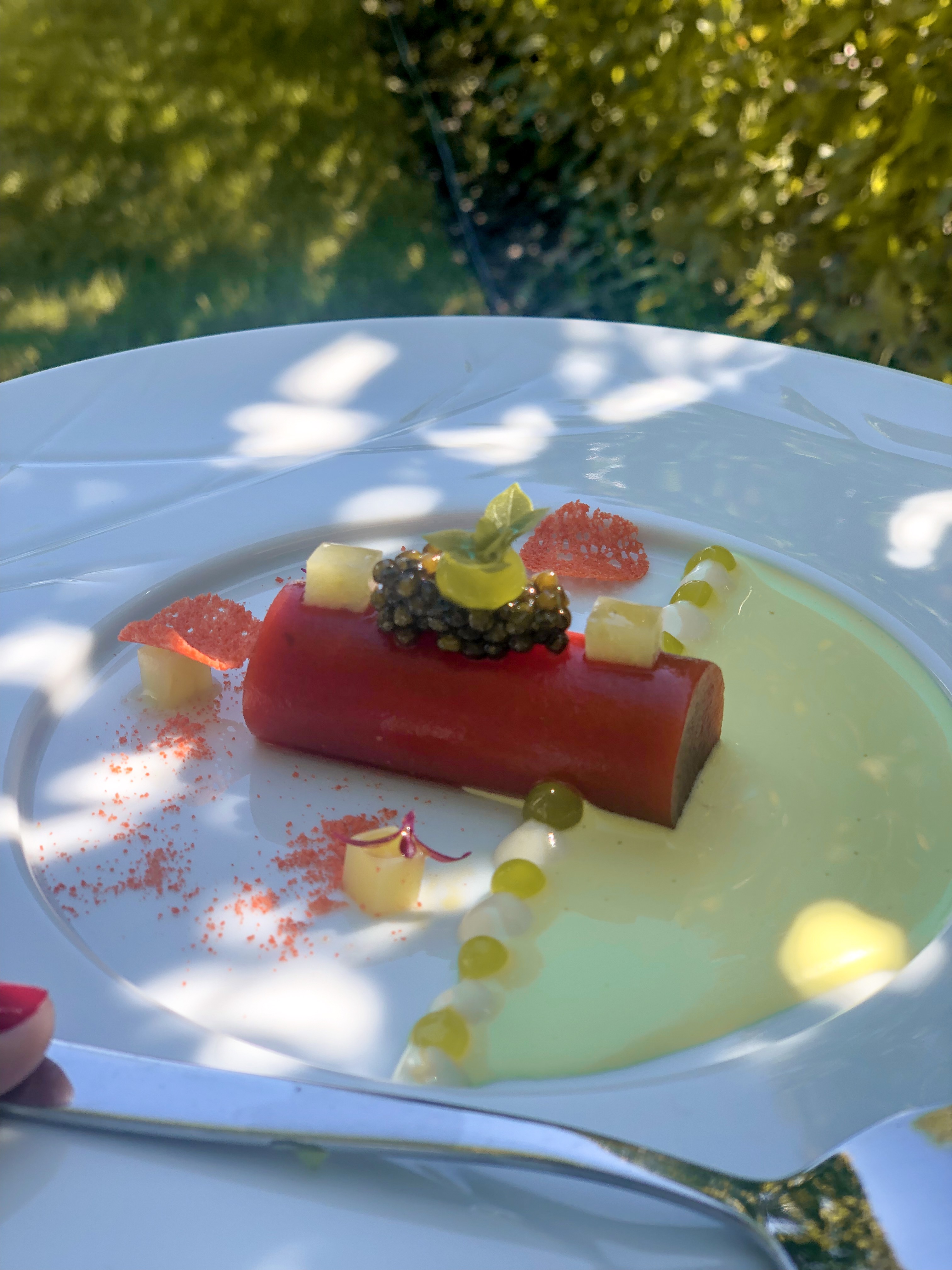 GaultMillau Garden Party 2019 im Grand Resort Bad Ragaz